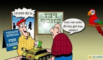 Truyện cười: Con Vẹt Giá 10.000 Đô La -  haivl | hài hước | hài vl  