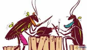 Truyện cười: Điều Cấm Kỵ Trên Bàn Ăn Loài Gián - haivl Truyện cười: Điều Cấm Kỵ Trên Bàn Ăn Loài Gián - haivl
