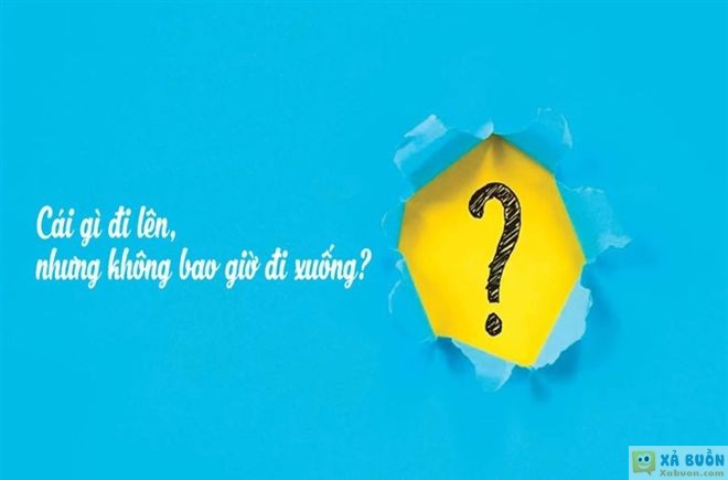 Đối vui: Đố mẹo: Cái gì đi lên nhưng không bao giờ đi xuống?