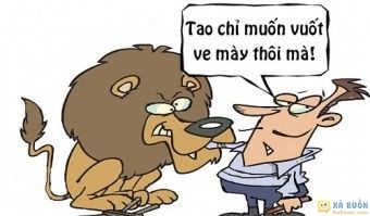 Truyện cười: Hậu Quả Của Việc Thích Vuốt Ve Động Vật