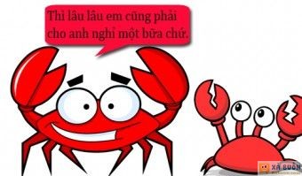 Truyện cười: Lý Do Cua Đực Bò Thẳng - haivl | hài hước | hài vl Truyện cười: Lý Do Cua Đực Bò Thẳng - haivl | hài hước | hài vl