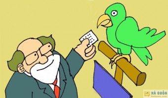 Truyện cười: Nghệ Thuật Tự Nâng Giá Của Vẹt - haivl Truyện cười: Nghệ Thuật Tự Nâng Giá Của Vẹt - haivl