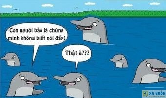 Truyện cười: Nguyên Nhân Loài Cá Không Thể Nói Chuyện - haivl Truyện cười: Nguyên Nhân Loài Cá Không Thể Nói Chuyện - haivl