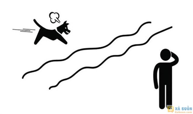 Đối vui: Tại sao con chó qua sông mà không hề bị ướt?