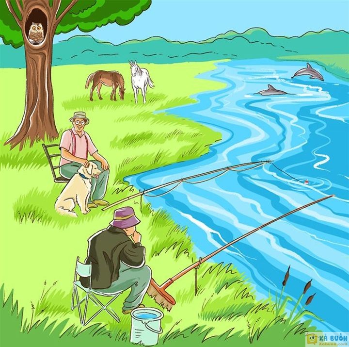 Đối vui: Thử tài tinh mắt: Có mấy điểm sai trong hình?