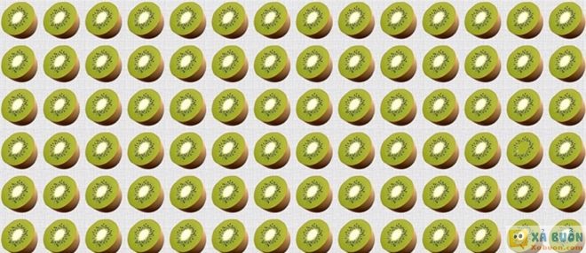 Đối vui: Thử tài tinh mắt: Tìm quả kiwi khác biệt -  haivl