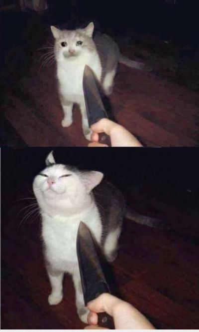  <3  ááááááá...! bố mày lại sợ mày quá cơ  =))  -  haivl