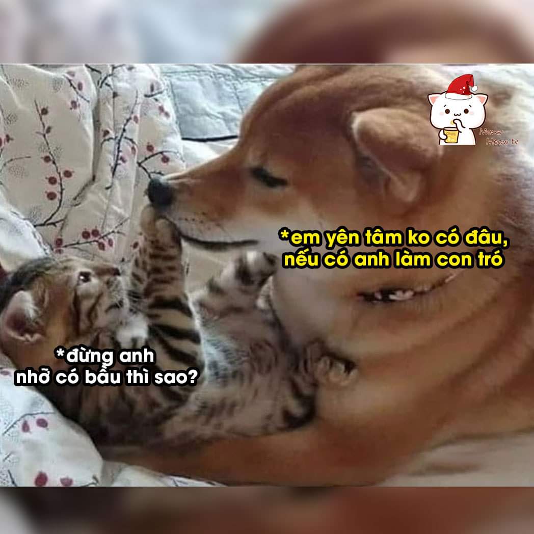 Sao anh khôn thế ! -  haivl | hài hước | hài vl  