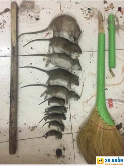  :)  tru di thập tộc :))  :)  -  haivl | hài hước | hài vl   