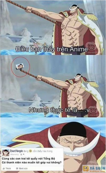 One Piece: \