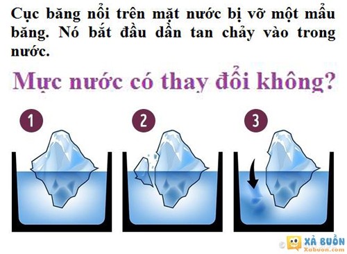 Mực nước có tăng lên khi băng tan? -  haivl | hài hước | hài vl  