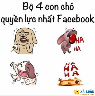  :d  4 con chó 'quyền lực nhất' facebook :d  :d  -  haivl