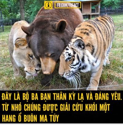  :(  best friends :)  =))  -  haivl | hài hước | hài vl  