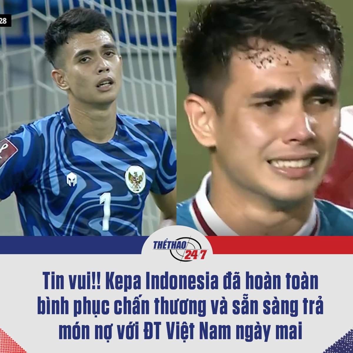 OK! Mai sẽ tặng anh vài trái làm quà 😭😭😭 -  haivl | hài hước | hài vl 