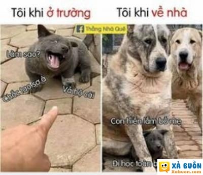  :d  con tôi ở nhà nó ngoan lắm  :)  -  haivl | hài hước | hài vl  