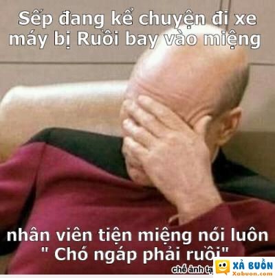  :(  tiện miệng :v  :x  -  haivl | hài hước | hài vl  