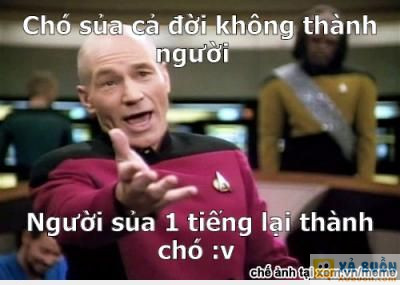  :(  tiêu đề  :(  -  haivl | hài hước | hài vl  