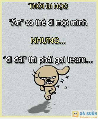  :3  đúng k ạ? :)  =)) <3   -  haivl | hài hước | hài vl   