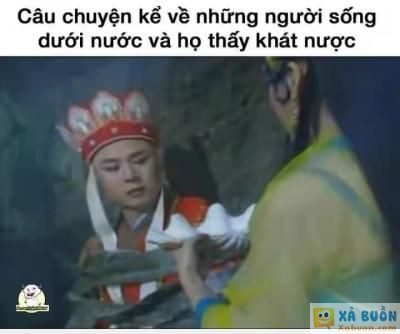 <3  how to cá uống trà  :v  -  haivl | hài hước | hài vl   