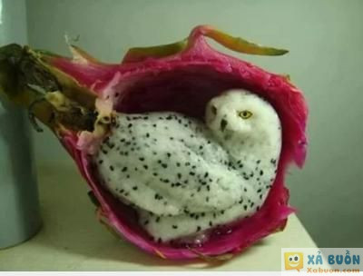  :v  quá đẹp :)(  :x :x  -  haivl | hài hước | hài vl  