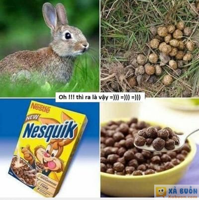  <3  cạn lời....  :x :x  -  haivl | hài hước | hài vl  