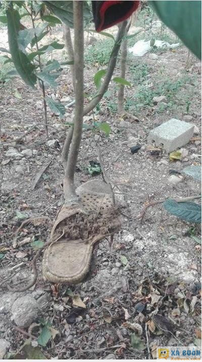  :x  sự sống bất diệt :d :d :d  :d  -  haivl | hài hước | hài vl  