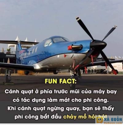  :(  có thể bạn chưa bao giờ biết :v  :d  -  haivl | hài hước | hài vl 