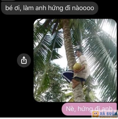  :(  hứng cẩn thận nha anh :d  :d  -  haivl | hài hước | hài vl  