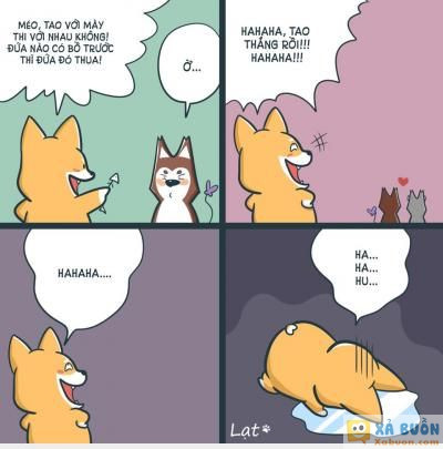  :v  kẻ thua cuộc  :d  -  haivl | hài hước | hài vl  