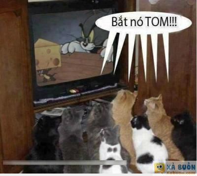  :v  cổ vũ nhiệt tình  :3  -  haivl | hài hước | hài vl   