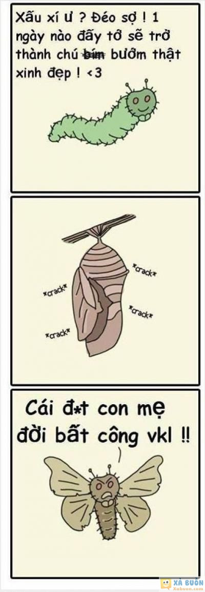  =)) <3   đời éo như mơ =))  :v  -  haivl | hài hước | hài vl   