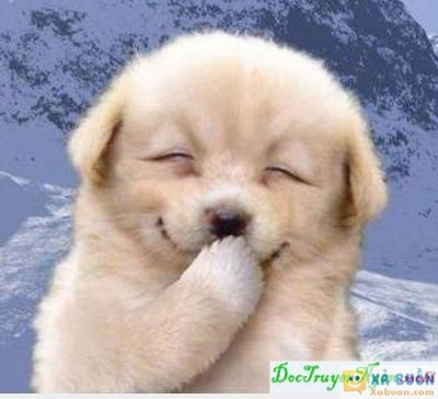  :d  đề nghị ad thêm ảnh này vào mục chế meme  :v  -  haivl