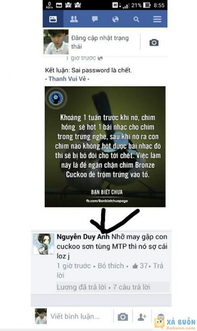  :d  có bác j ms cứ chế ảnh về sơn tùng là dc lên tc  :( 