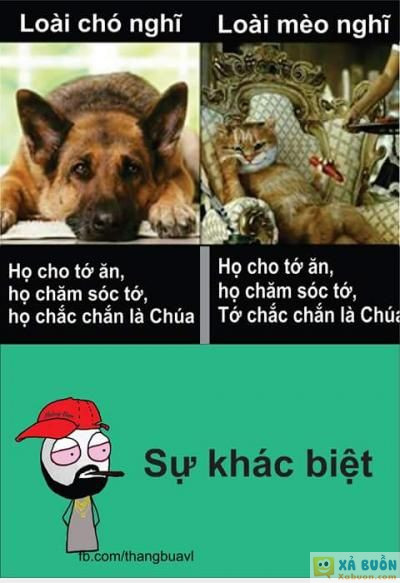  :x :x  nên nuôi chó thôi  =))  -  haivl | hài hước | hài vl   