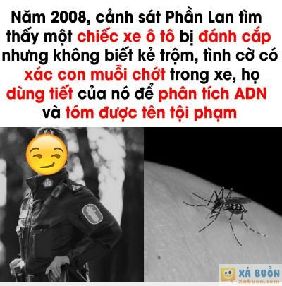  <3  iq200 thật sự  :x :x  -  haivl | hài hước | hài vl   