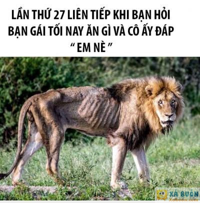  <3 <3   tứctức  :v  -  haivl | hài hước | hài vl  