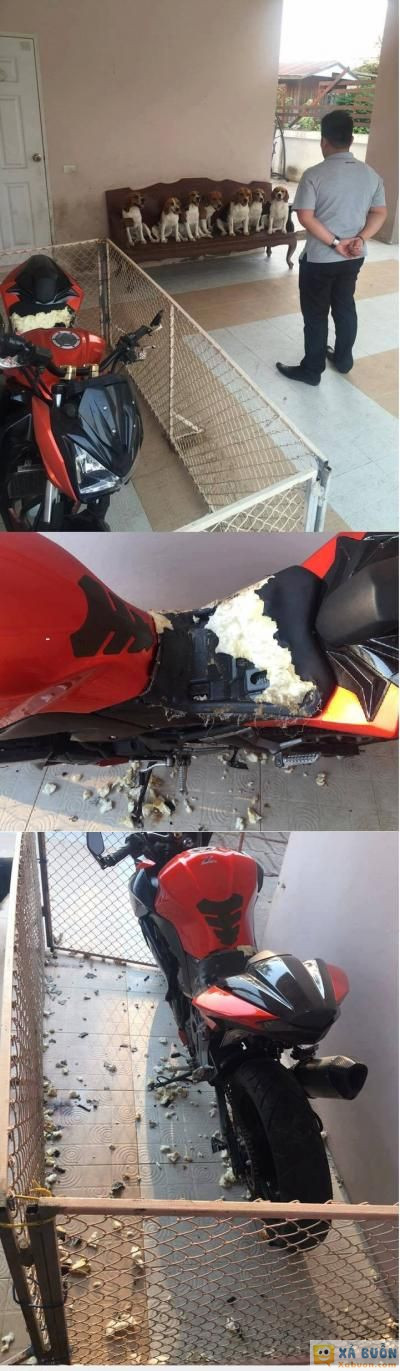  :x  này thì z800, mày rào lại là được với bọn anh à :)) :)) :))  :x 