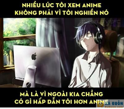  =))  fan anime đâu rồi  :x  -  haivl | hài hước | hài vl   