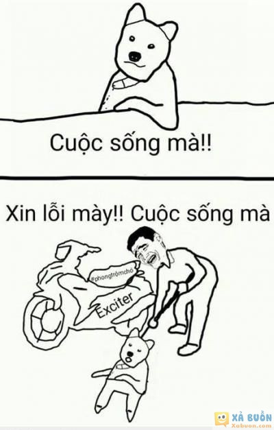  =))  cuộc sống mà :))  :3  -  haivl | hài hước | hài vl   