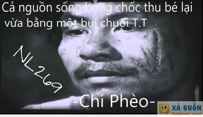  :x  đằng sau một đám chuối  :3  -  haivl | hài hước | hài vl  