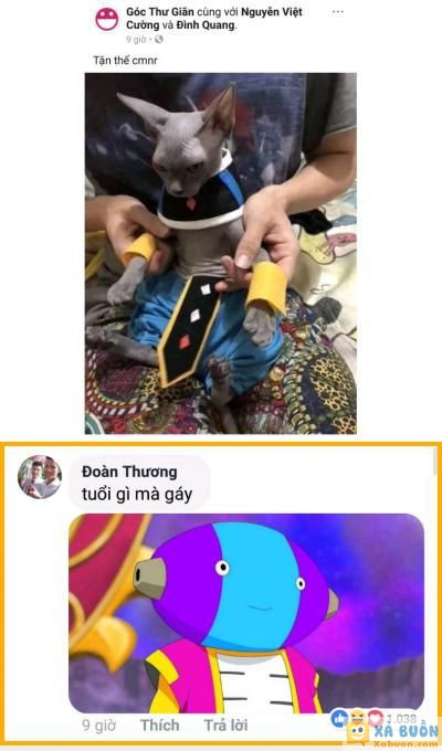  =))  tuổi gì :))  <3 <3   -  haivl | hài hước | hài vl  