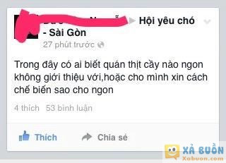  :3  bạn em các bác à :))  :(  -  haivl | hài hước | hài vl   