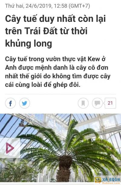  :(  fa 300 triệu năm  :(  -  haivl | hài hước | hài vl  