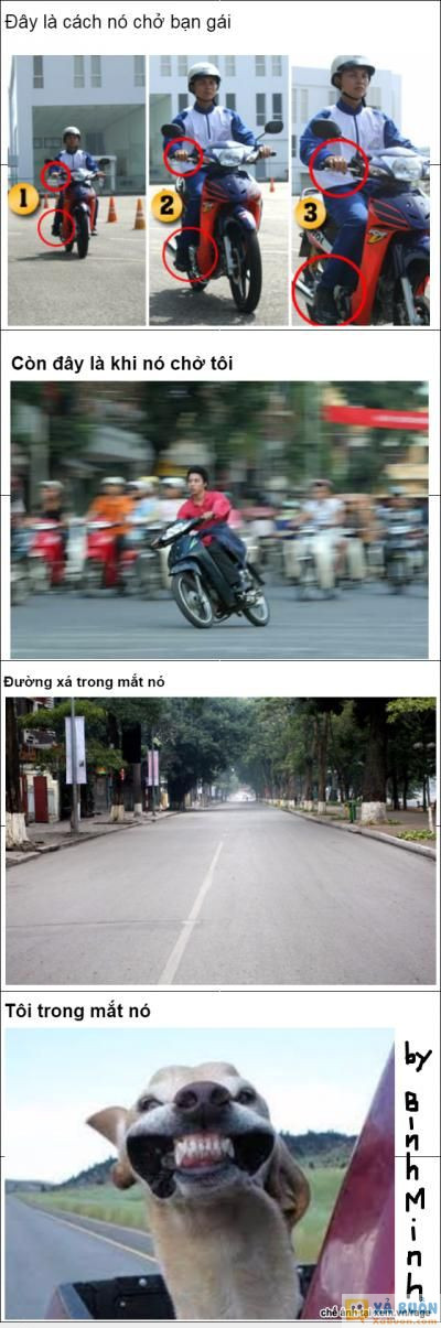  :3  thằng bạn thân của tôi :d  :x :x  -  haivl | hài hước | hài vl  