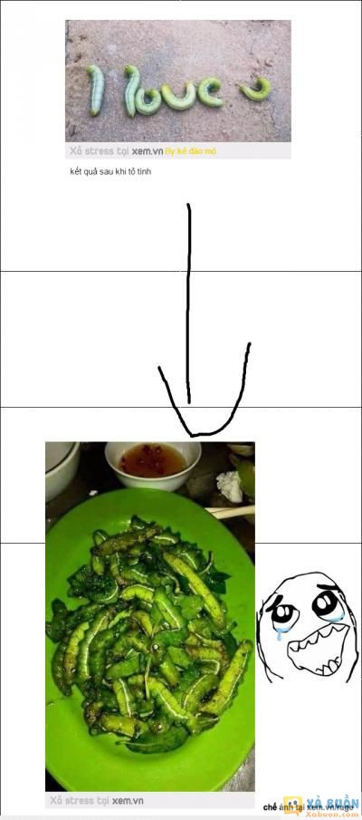  :x :x  =)) :v  :d  -  haivl | hài hước | hài vl  
