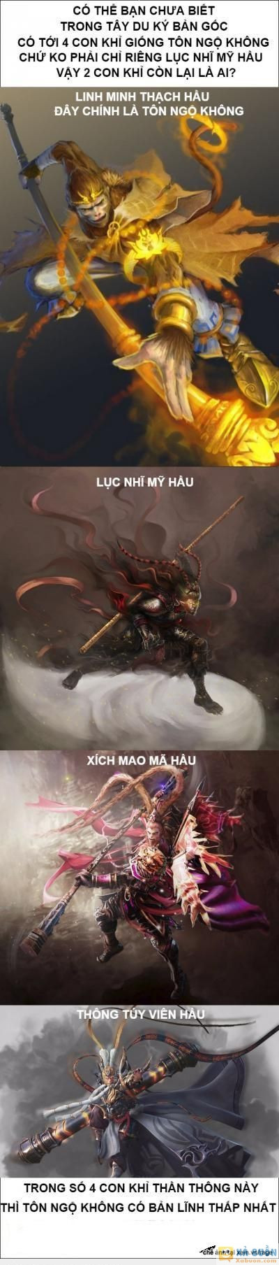  :v  bạn đã biết chưa =))  :(  -  haivl | hài hước | hài vl   