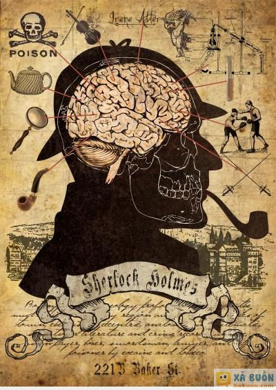  :(  trong bộ não của sherlock holme chưa những gì?  :x :x  -  haivl