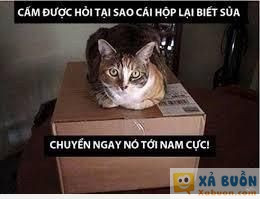  =)) <3   tao ko nhìn thấy gì đâu nhé  :v  -  haivl | hài hước | hài vl  