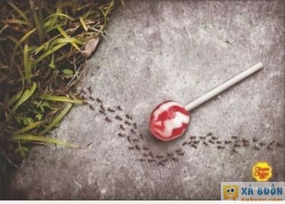  :x :x  quảng cáo kẹo không đường  <3 <3   -  haivl | hài hước | hài vl 