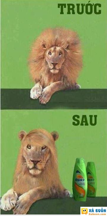  haivl  cười ỉa  haivl  -  haivl | hài hước | hài vl  